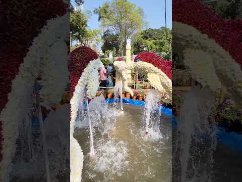 Rani bagh flower expo #flowers #expo #ranibagh #kidsvideos #bhivandi #