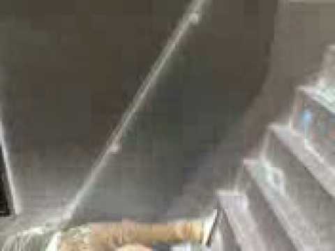 Die Vollidioten aus Grödig