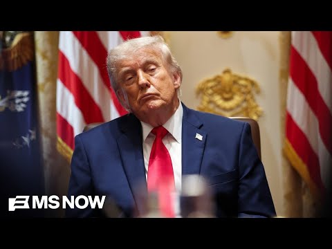 ‘Congress has to do its job’: Dem rep. calls Trump’s corruption ‘the root of all other challenges’