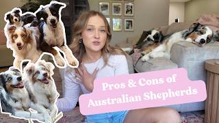 Pros & Cons of Owning an Australian Shepherd | What to Know Before Getting an Aussie!