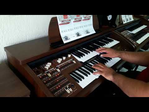 Orgão Eletrônico Tokai MD-7 - Loja Teclasom