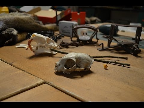 Fallen- und Fangjagd - zu Besuch bei Andre Westerkamp