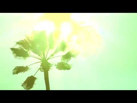 Happy Birthday Jamie || ALLENSWORTH - Heavy Load  || #HeydayBDay