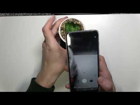 Check Out Camera Preview of Motorola Moto G50 - Camera Presentation