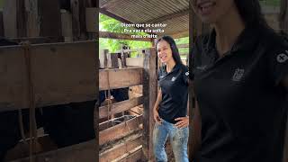 Será que desce o leite mesmo? #dianaroça #vidanaroça