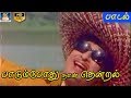 பாடும் போது நான் தென்றல் முழு பாடல் Paad