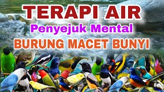 Download lagu SUARA AIR ALAM PENYEJUK MENTAL BURUNG MACET BUNYI, TERAPI AIR UNTUK SEMUA JENIS BURUNG MACET BUNYI mp3