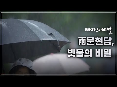 [테마스페셜] 우문현답, 빗물의 비밀