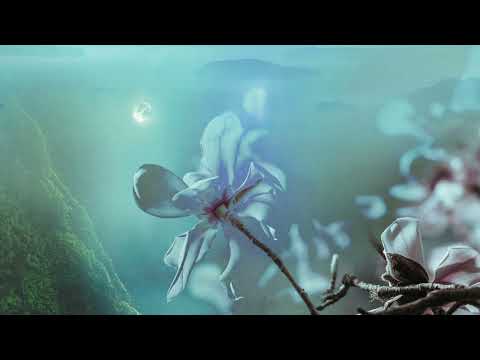 Iyakuh & Dillard - Osha | Organic Downtempo | Chillout | Folktronica