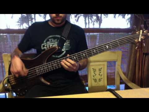 Electric Guest - This Head I Hold (Bass Cover) [Pedro Zappa]