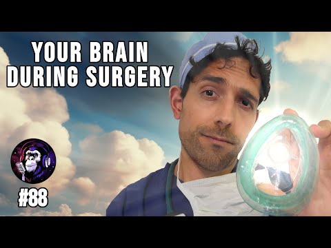 How Anesthetics Affect The Brain | Anthony Kaveh | Escaped Sapiens #88 (republished)