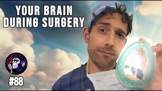 How Anesthetics Affect The Brain | Anthony Kaveh | Escaped Sapiens #88 (republished)