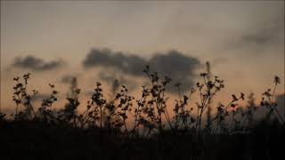 Download lagu (background video) senja menjelang malam. mp3