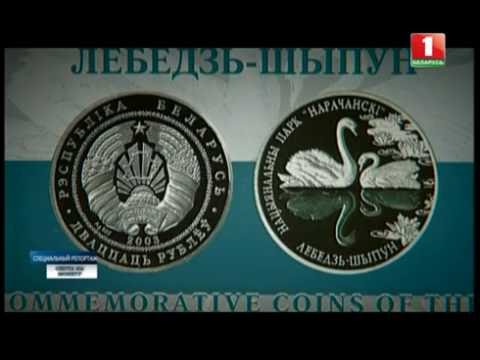Охота на монету. Специальный репортаж