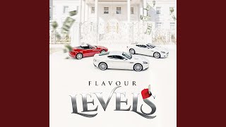 Cover art for Levels