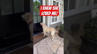 You Thought She Was Gone… Watch This ❤️