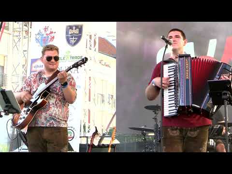 SWAB zenekar - 7. Dunamenti Halfesztivál - Mohács - 2025