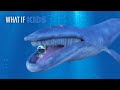 What If You Could Go Inside A Whale