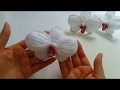 Orchid Beautiful Crochet Orchid