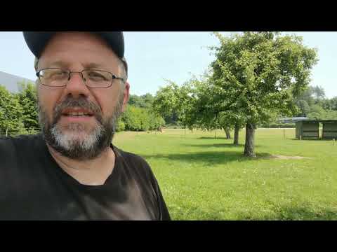 Scouting & Bushcraft Convention - Zweiter Aufbautag - Jurtenland