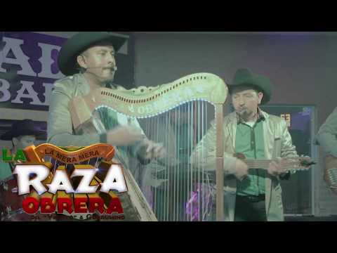 Raza Obrera De El Viejito Y El Gurumino - El Amor No Se Vende