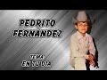 Pedrito Fernández - En Tu Día