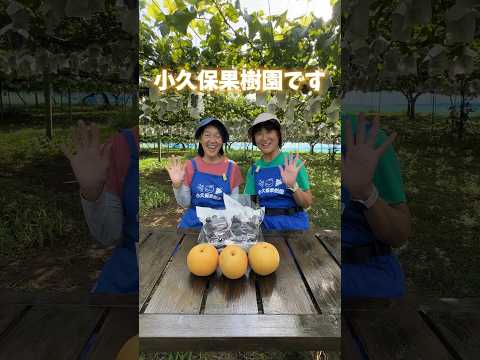 果樹を治す方法は？専門家による確実な方法を発見  庭園