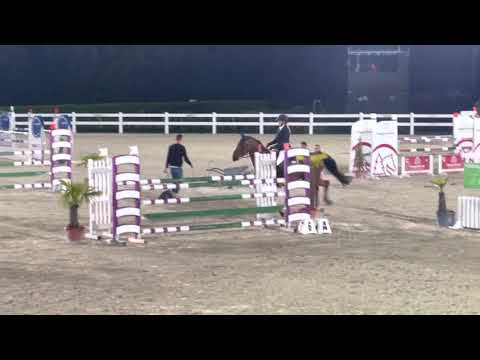 LORDIN 25.09.21 CSI 2* Lamprechtshausen - 2. Platz 125 cm