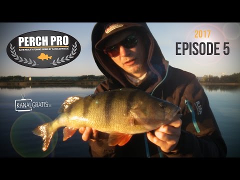 Perch Pro 2017 - EPISODE 5 - Kanalgratis.se (with German, French & Dutch subtitles)