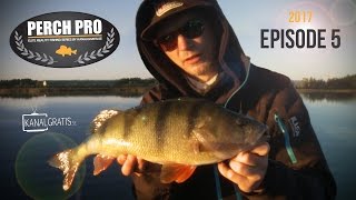 Perch Pro 2017 - EPISODE 5 - Kanalgratis.se (with German, French & Dutch subtitles)