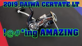 Daiwa certate 19
