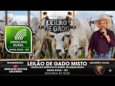LEILÃO SINDICATO RURAL DE MARA ROSA-GO 10/08/2026 JENILSON ROCHA LEILOEIRO