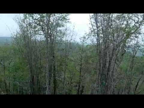 Nature of Narmada district