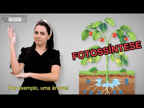 Ciências 007 - Fotossíntese - Libras