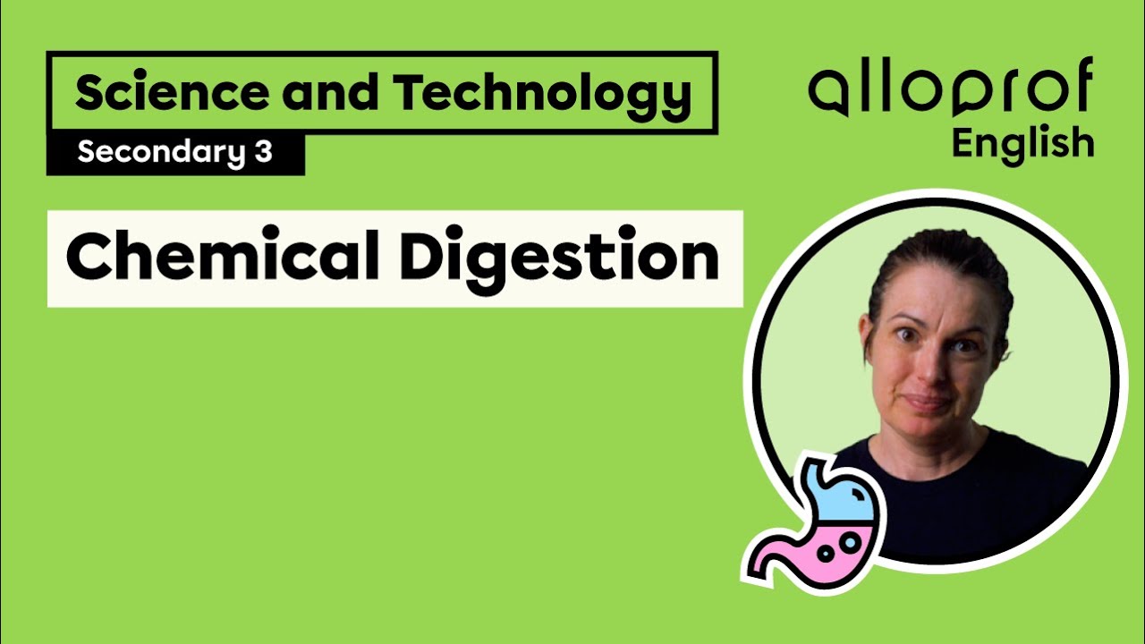 Chemical Digestion