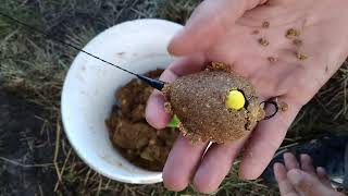 Ловля крупного амура на кукурузу