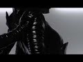 XP8 "The Art Of Revenge" Video Trailer