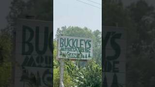 Download lagu Kayaking Through Nature’s Secret Spots | Adventure Vlog 🌊🚣 #kayaking #viral #reels mp3