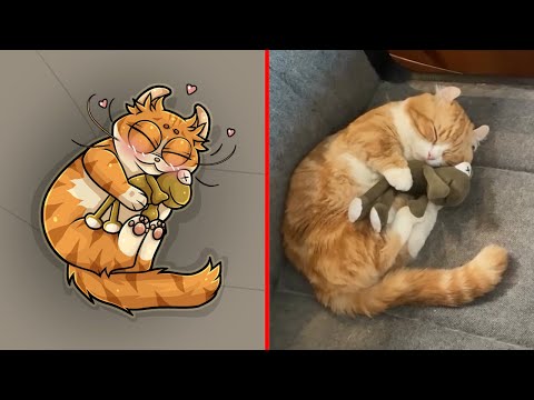 Cats Are Absolutely Cute Creatures