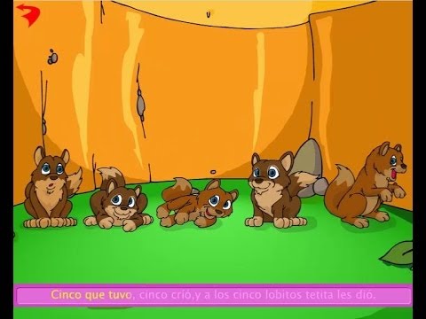 cinco lobitos