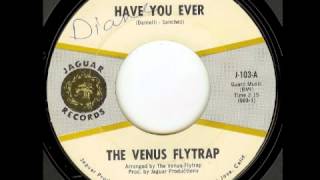 The Venus Flytrap- Have You Ever