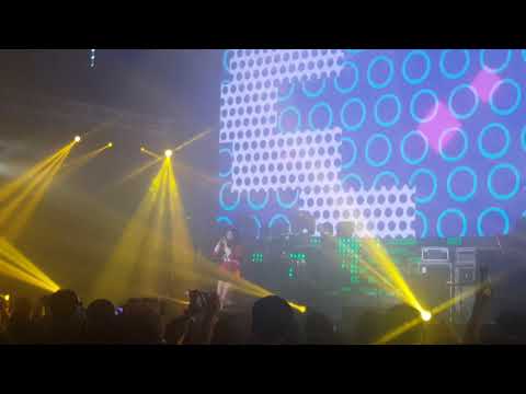 에일리 손대지마