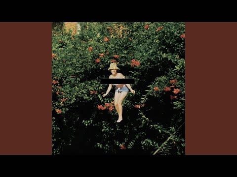 Shirley - TOLEDO