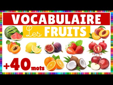Vidéo 1