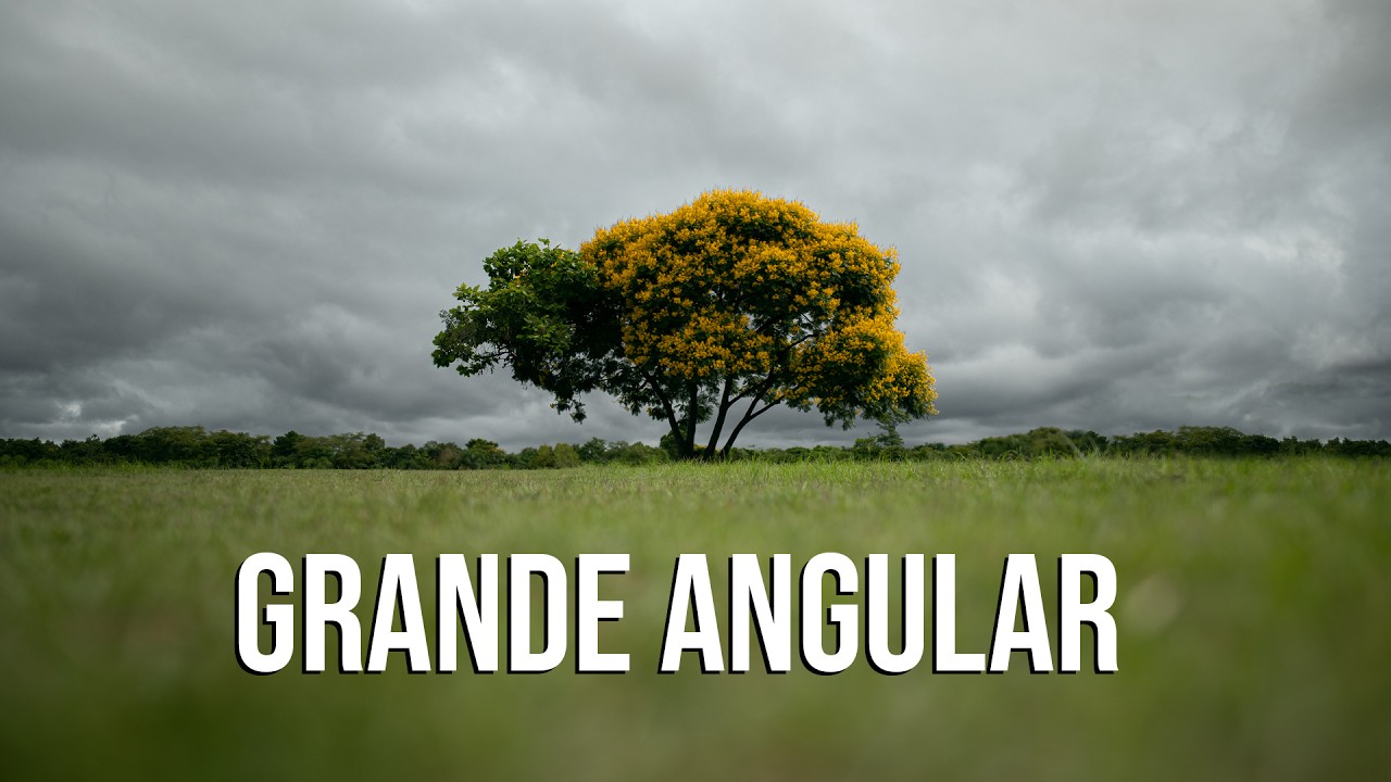 Por que a lente Grande Angular é tão Especial ?