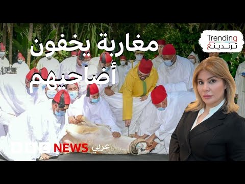 فيديو | مغاربة يخفون الأضاحي وارتفاع أسعار "الدوارة" في المغرب قبل العيد