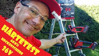 Einhell Akku Heckenschere 36V mit Akkugürtel im HÄRTETEST #einhellharry #powerXchange