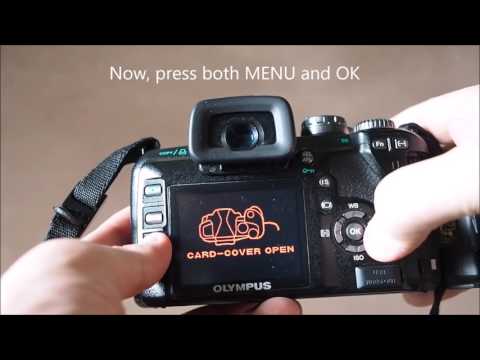 download lagu mp3 mp4 Olympus E500 Shutter Count, download lagu Olympus E500 Shutter Count gratis, unduh video klip Download Olympus E500 Shutter Count Mp3 dan Mp4 320kbps Gratis