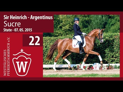 22 Sucre  Stute v. Sir Heinrich - Argeninus