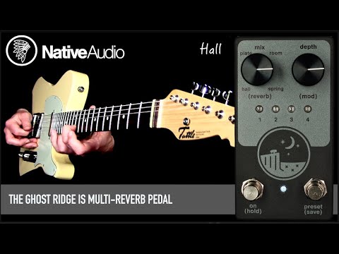 NativeAudio Ghost Ridge Reverb - FREE USPS Priority Shipping image 3